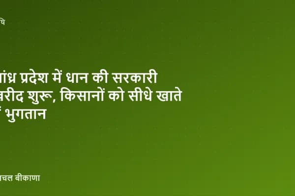 आंध्र प्रदेश में धान की सरकारी खरीद शुरू, किसानों को सीधे खाते में भुगतान