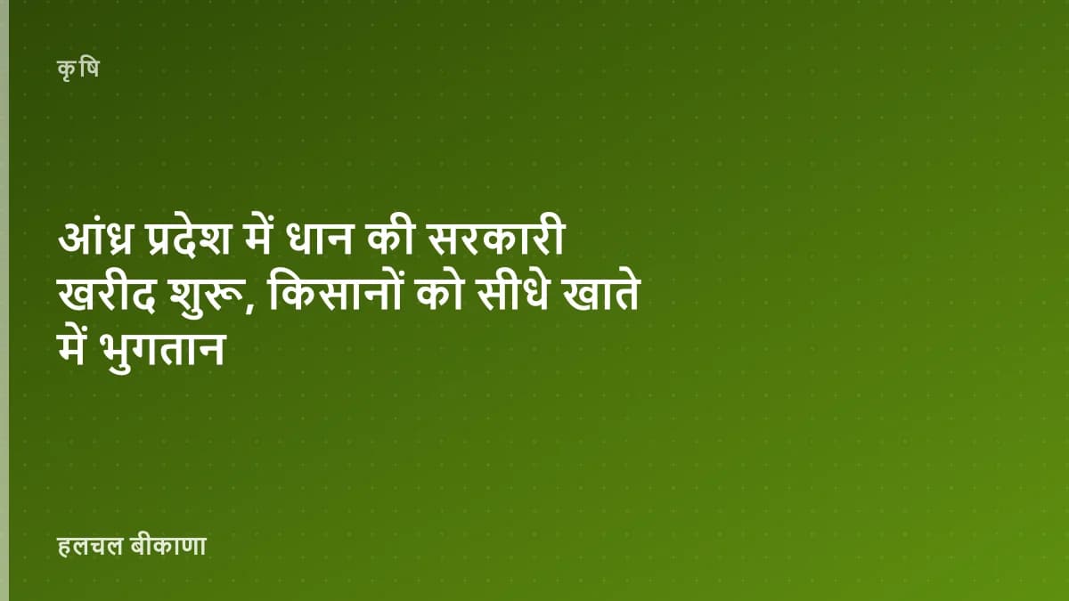 आंध्र प्रदेश में धान की सरकारी खरीद शुरू, किसानों को सीधे खाते में भुगतान