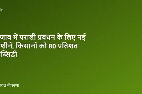 पंजाब में पराली प्रबंधन के लिए नई मशीनें, किसानों को 80 प्रतिशत सब्सिडी