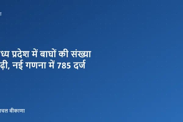 मध्य प्रदेश में बाघों की संख्या बढ़ी, नई गणना में 785 दर्ज