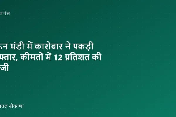 ऊन मंडी में कारोबार ने पकड़ी रफ्तार, कीमतों में 12 प्रतिशत की तेजी