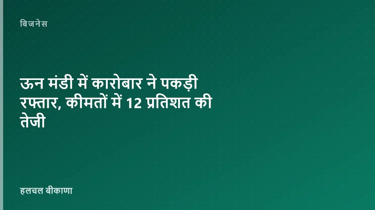 ऊन मंडी में कारोबार ने पकड़ी रफ्तार, कीमतों में 12 प्रतिशत की तेजी