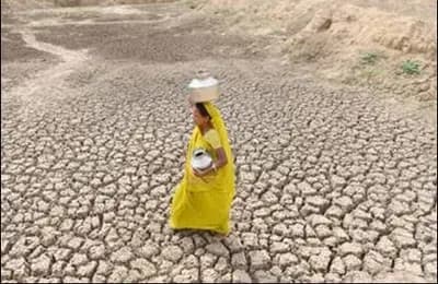 राजस्थान की 80 तहसीलों में सूखाग्रस्त घोषित, किसानों को मिलेगी राहत