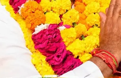 स्वर्ण पदक विजेता खिलाड़ियों को मिलेगा निशुल्क प्रवेश, प्रबंध बोर्ड ने दी स्वीकृति