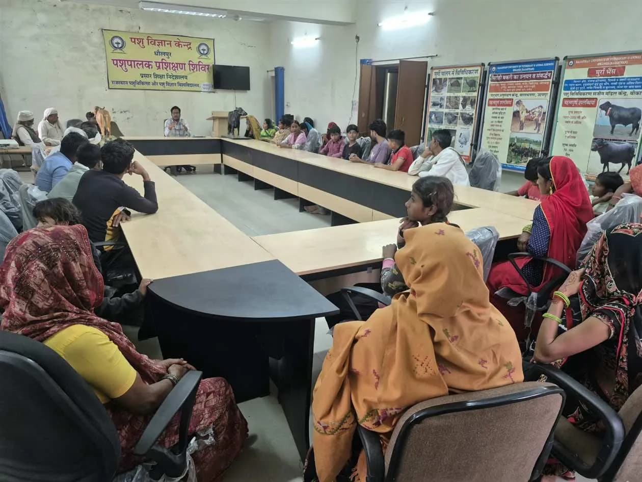पशु विज्ञान केन्द्र, धौलपुर द्वारा " वैज्ञानिक बकरी पालन का महत्त्व एवं प्रबंधन" विषय पर दी जानकारी