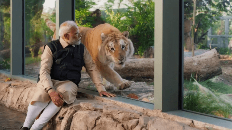 Made eye contact with the lion, caressed the chimpanzee, fed milk to the cubs! PM Modi's unique style seen in Vantara